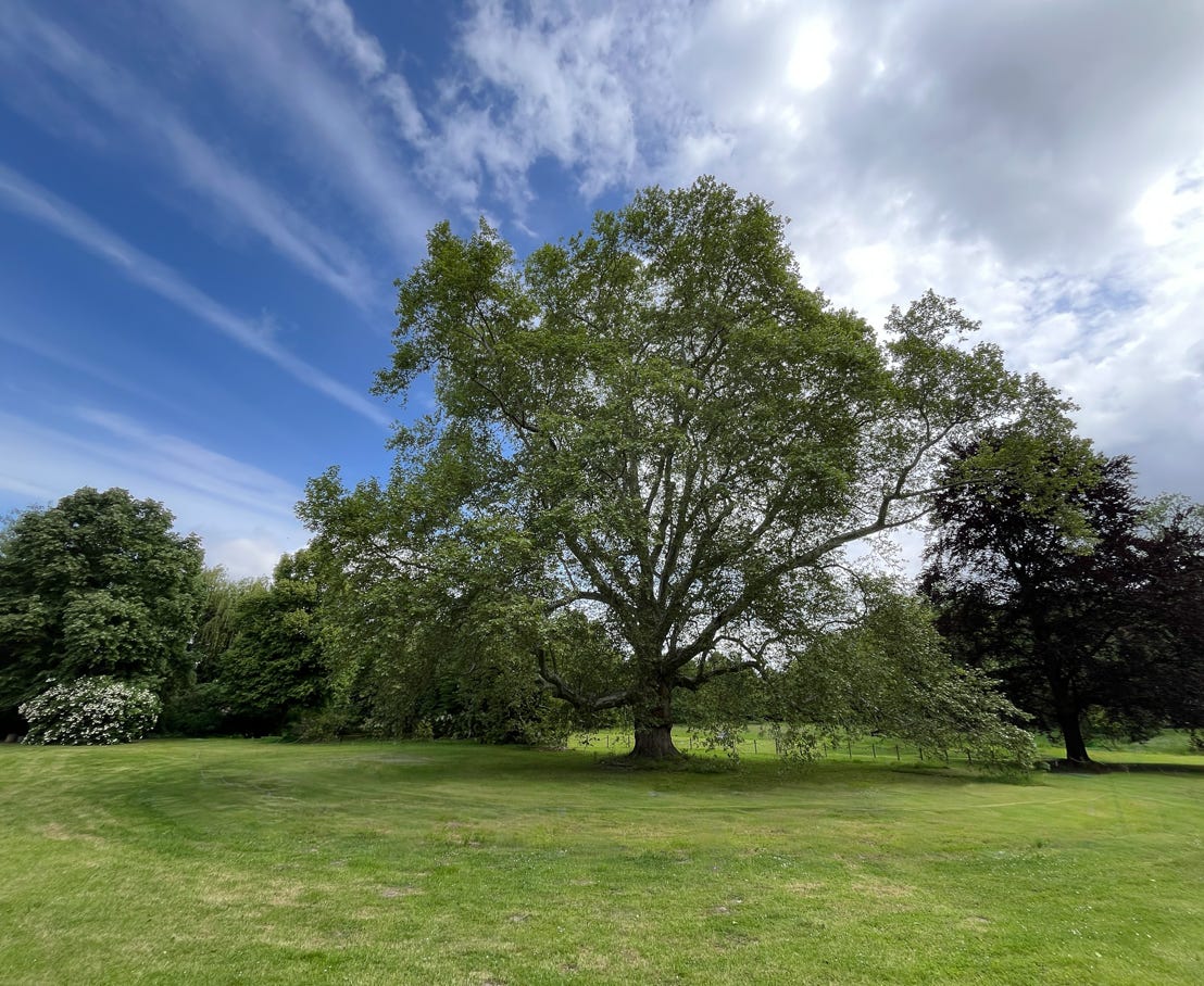 Kostenloses Stock Foto zu abenteuer, abenteuerreisen, ausblicke